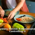 cancer-causing gut toxin - home improvement article image 1