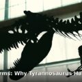 tiny T. Rex arms - home improvement article image 1