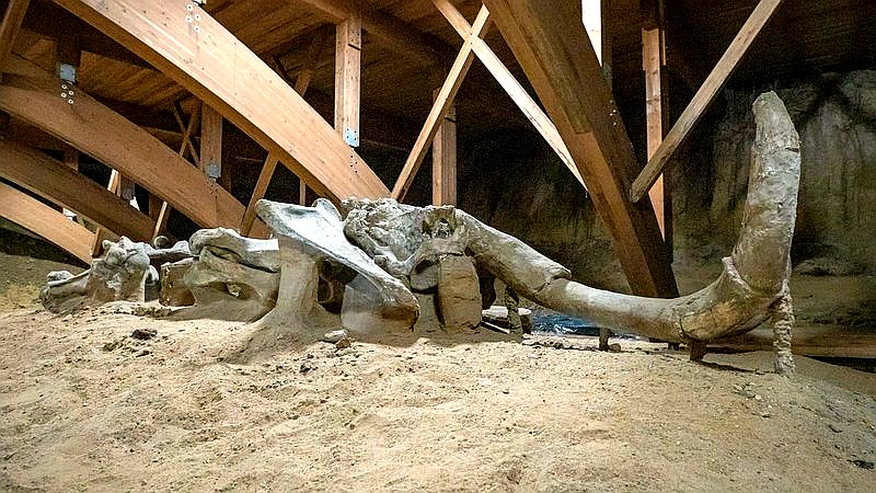 North Dakota fossil site - home improvement article image 3