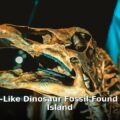 ostrich-like dinosaur fossil - home improvement article image 1