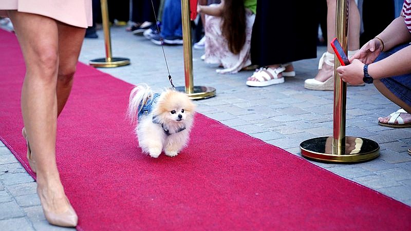 ACM Awards 2026 - lifestyle article image 2