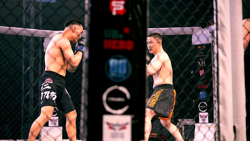 Netflix MMA debut - sport article image 3
