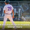 Dodgers bat dog program - sport article image 1