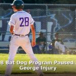 Dodgers bat dog program - sport article image 1