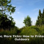 avoid ticks - health article image 1