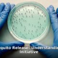 Google mosquito release - health article image 1