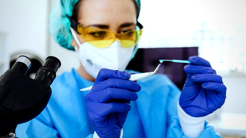 Google mosquito release - health article image 2