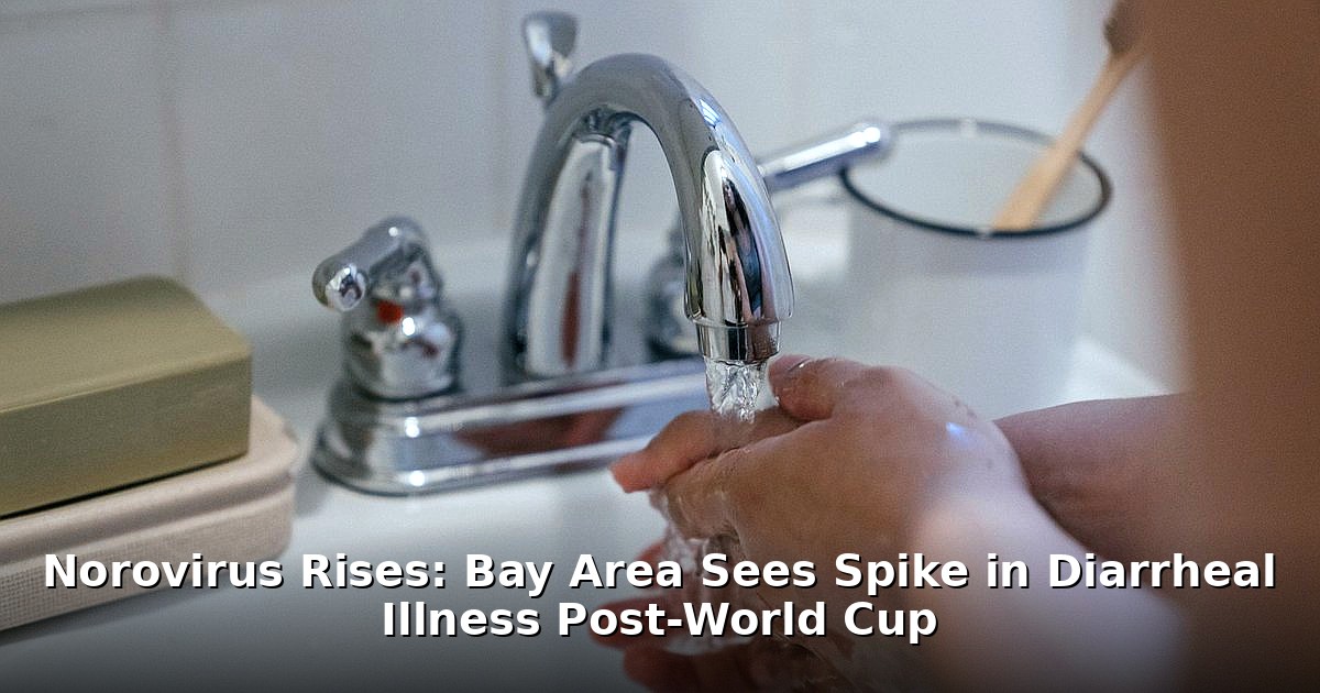 norovirus Bay Area - health article image 1