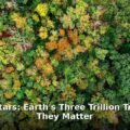 Earth's tree count - home improvement article image 1