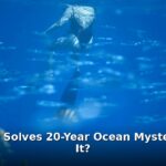 hairy frogfish mystery - home improvement article image 1