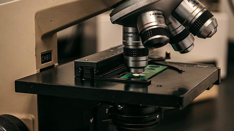 Y chromosome loss - home improvement article image 2