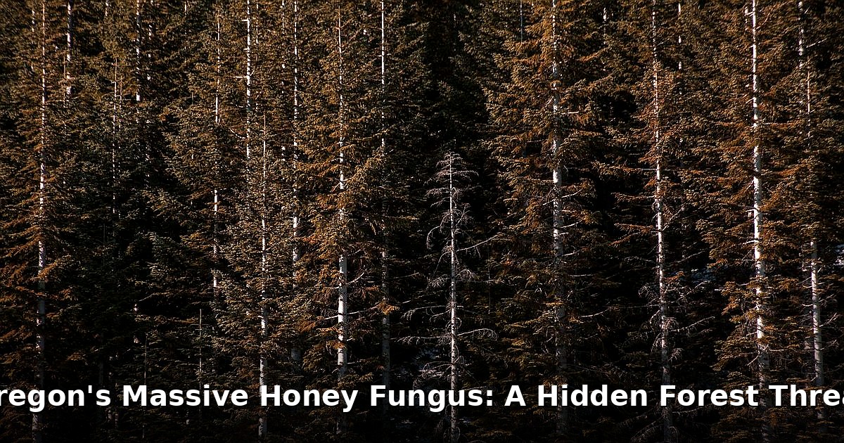 Oregon honey fungus - home improvement article image 1