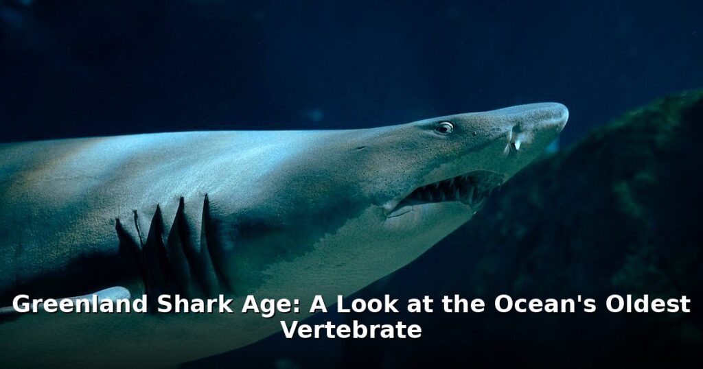 Greenland shark age - home improvement article image 1