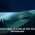 Greenland shark age - home improvement article image 1