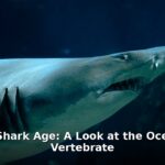 Greenland shark age - home improvement article image 1
