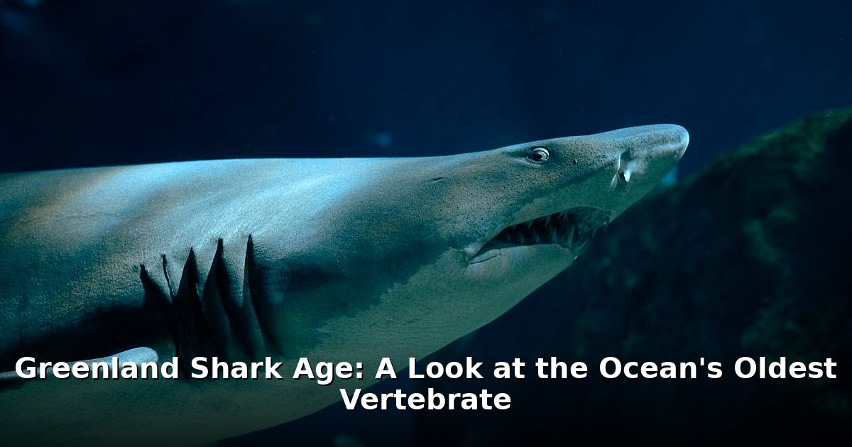 Greenland shark age - home improvement article image 1