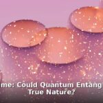 quantum entanglement time - home improvement article image 1