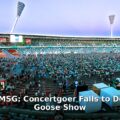 concertgoer fall Madison Square Garden - sport article image 1