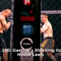 UFC Freedom 250 results - travel article image 1