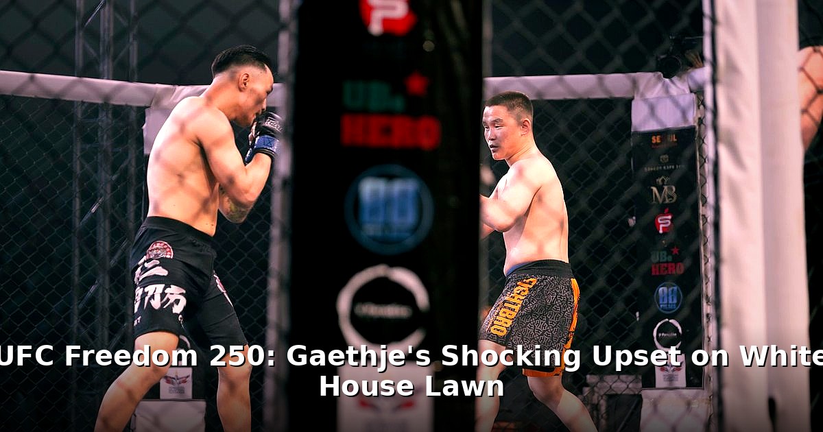 UFC Freedom 250 results - travel article image 1