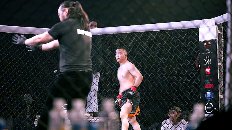 UFC Freedom 250 results - travel article image 2