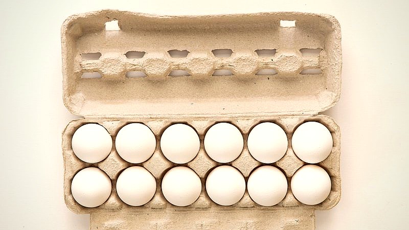 egg price inflation - finance article image 2