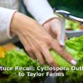 Taco Bell lettuce recall - finance article image 1