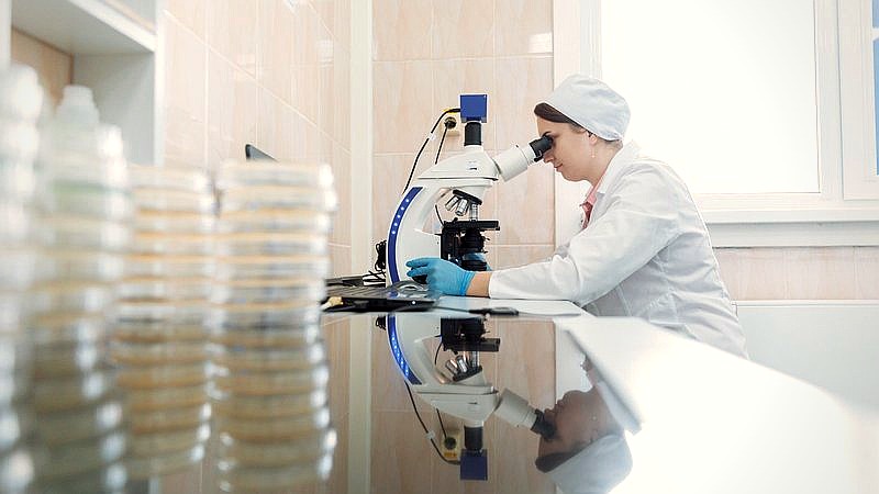 contagious clam cancer - health article image 2