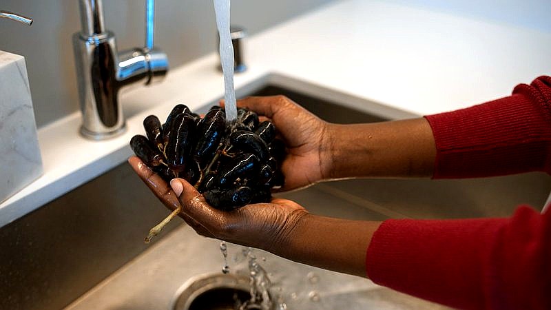 Hamilton County cyclosporiasis - health article image 2