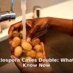 Maryland Cyclospora cases - health article image 1