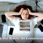 evolutionary mismatch brain - health article image 1
