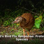 New Zealand bird flu - health article image 1
