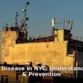 Legionnaires' disease - health article image 1