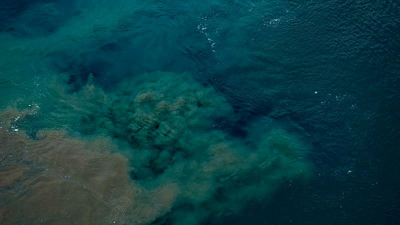 invisible gold seafloor - home improvement article image 2
