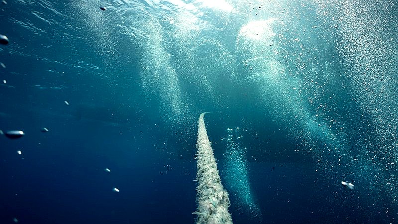 deep-sea robot discovery - home improvement article image 2