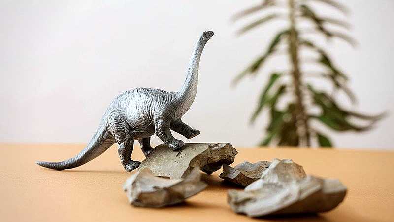 earliest snakes - home improvement article image 2