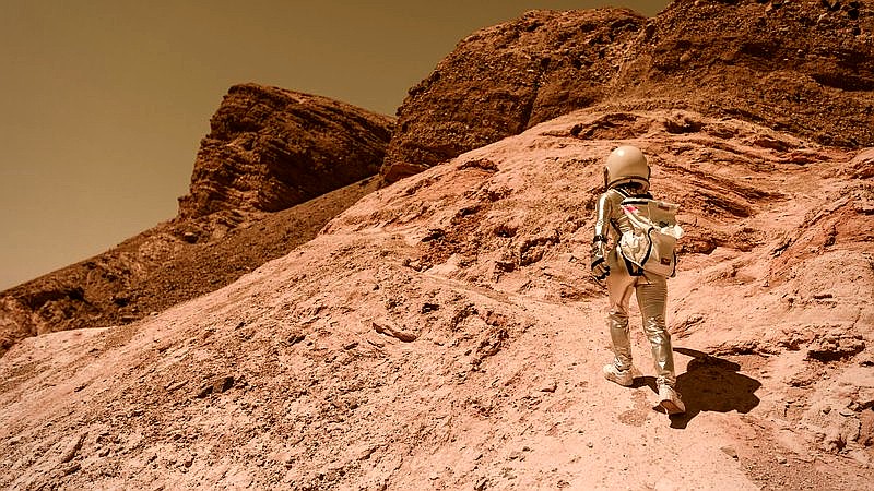 GJ 887 d habitable planet - home improvement article image 3
