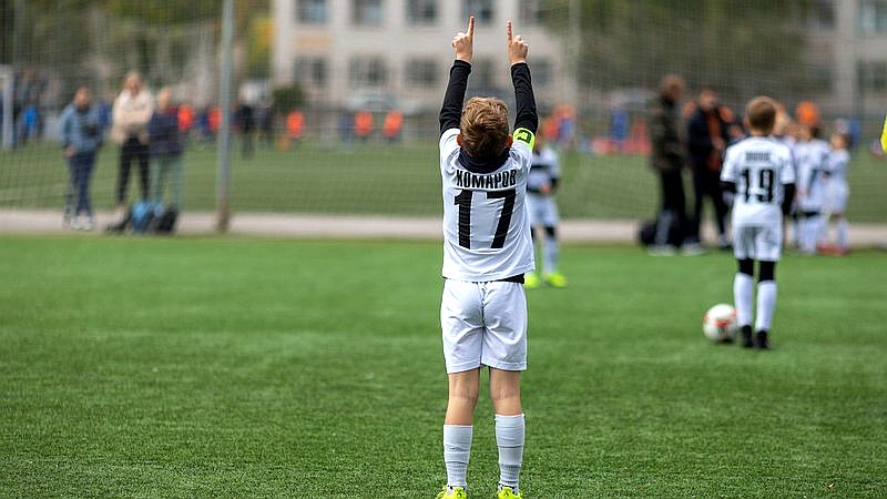 Erling Haaland's raccoon - sport article image 2