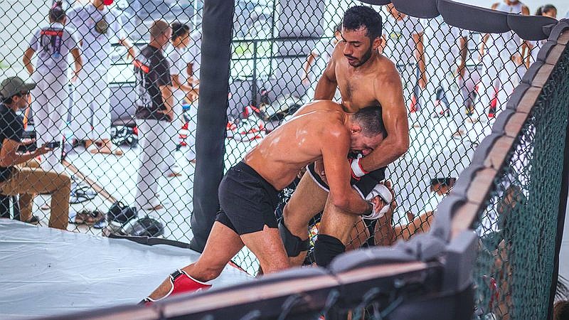 Conor McGregor UFC 329 - travel article image 2