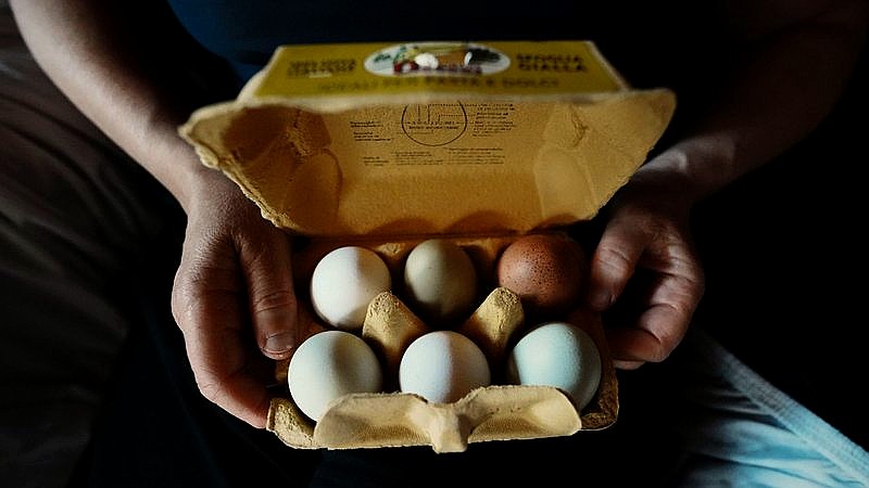 recalled eggs - finance article image 2