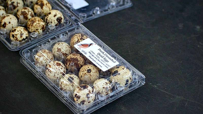 recalled eggs - finance article image 3