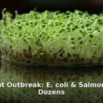 alfalfa sprout outbreak - finance article image 1