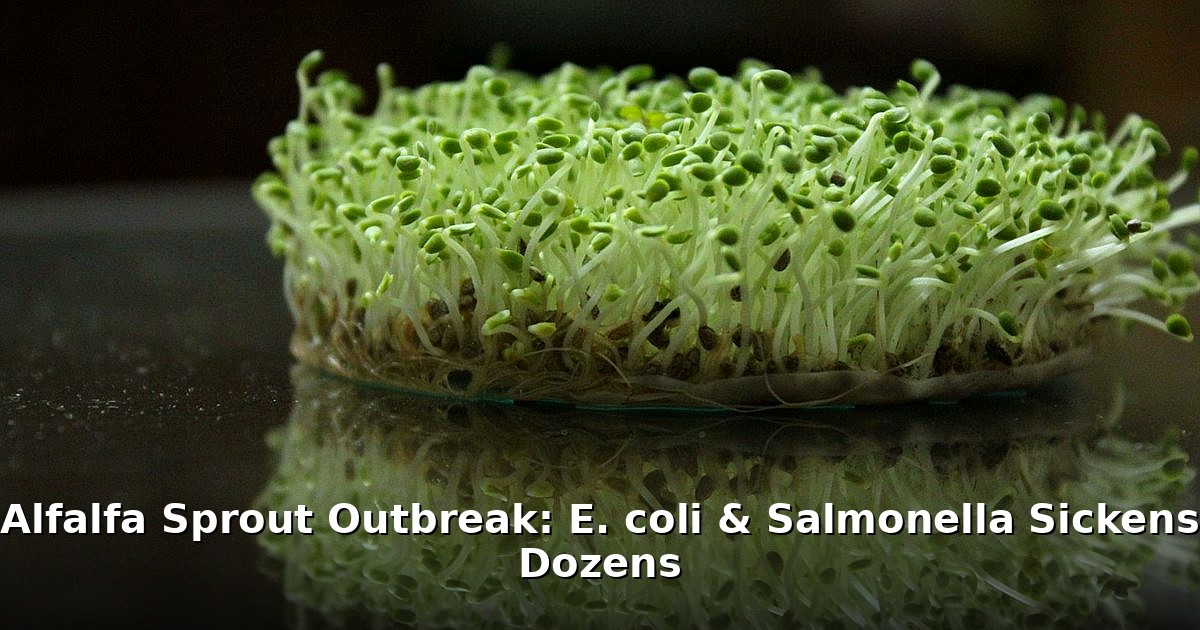 alfalfa sprout outbreak - finance article image 1