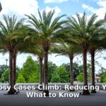 leprosy risk Florida - health article image 1