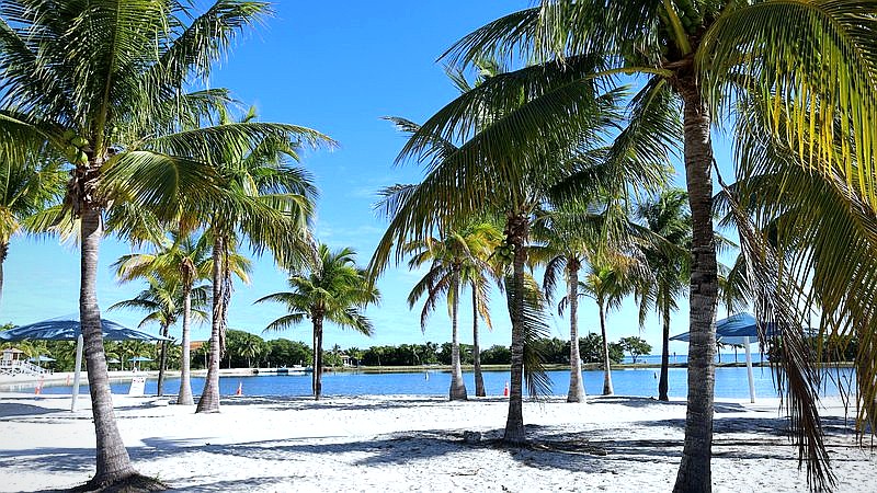 leprosy risk Florida - health article image 2
