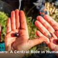 dietary sugars human evolution - health article image 1