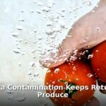 cyclospora contamination - health article image 1