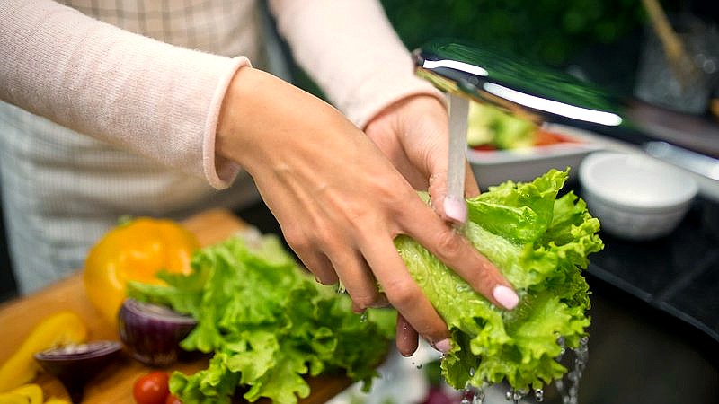 cyclospora contamination - health article image 2