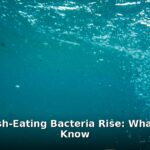 flesh-eating bacteria Louisiana - health article image 1