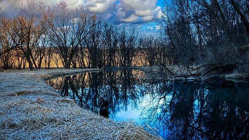 beaver attack Seneca Creek State Park - health article image 2